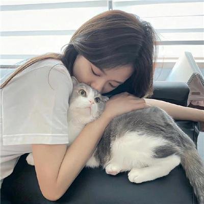 小虎还乡